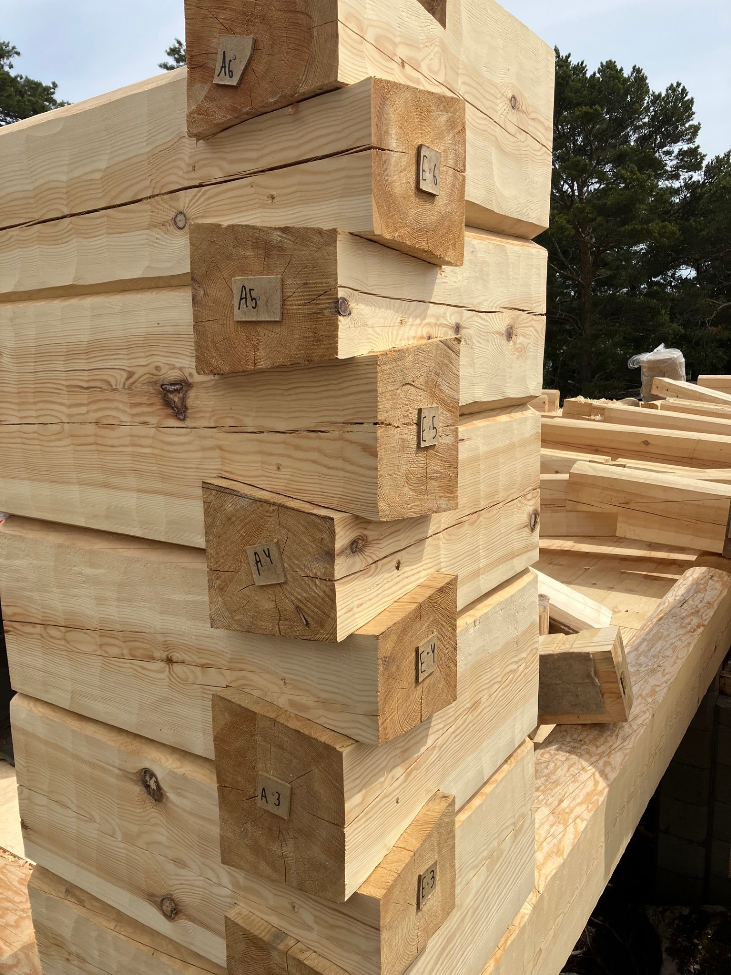 Tiheäsyistä piilutettua mäntyhirttä kalanpyrstönurkalla