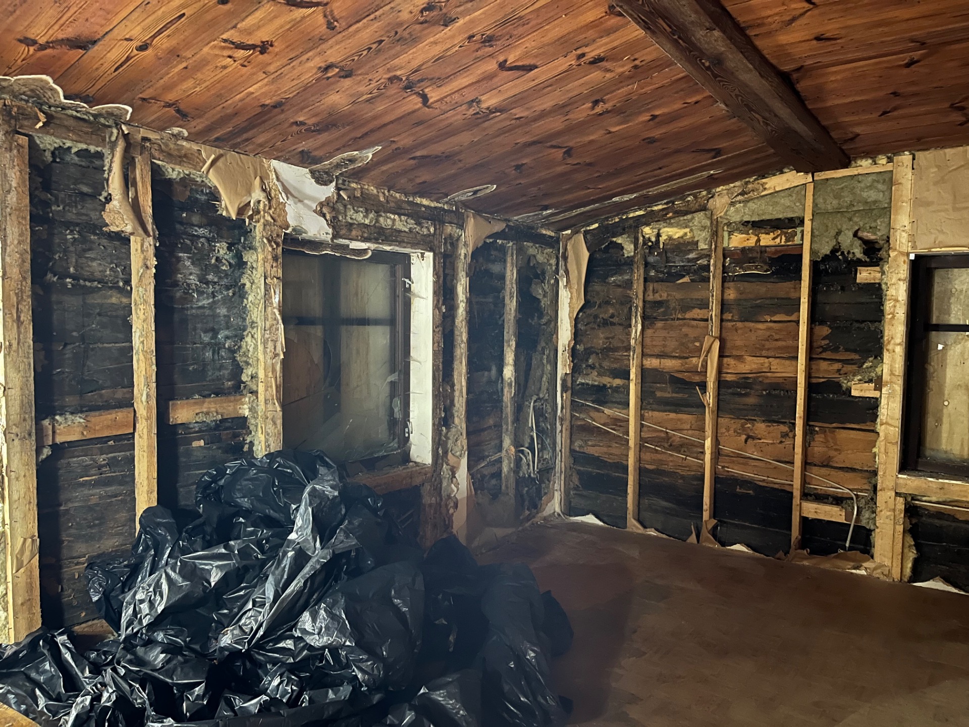 17.1.2026 päärakennuksen eteläsivulla vuosia jatkuneen kattovuodon ja märän lasivillan tuhoamaa hirsiseinää.